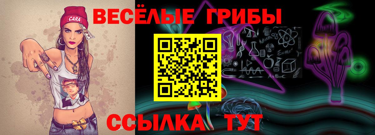 Галлюциногенные грибы Psilocybe  купить наркотик  Галлюциногенные грибы мицелий  Мценск  Вход с VPN 
